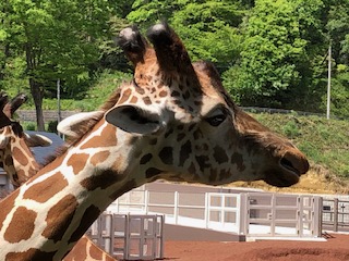 多摩動物公園　昆虫館